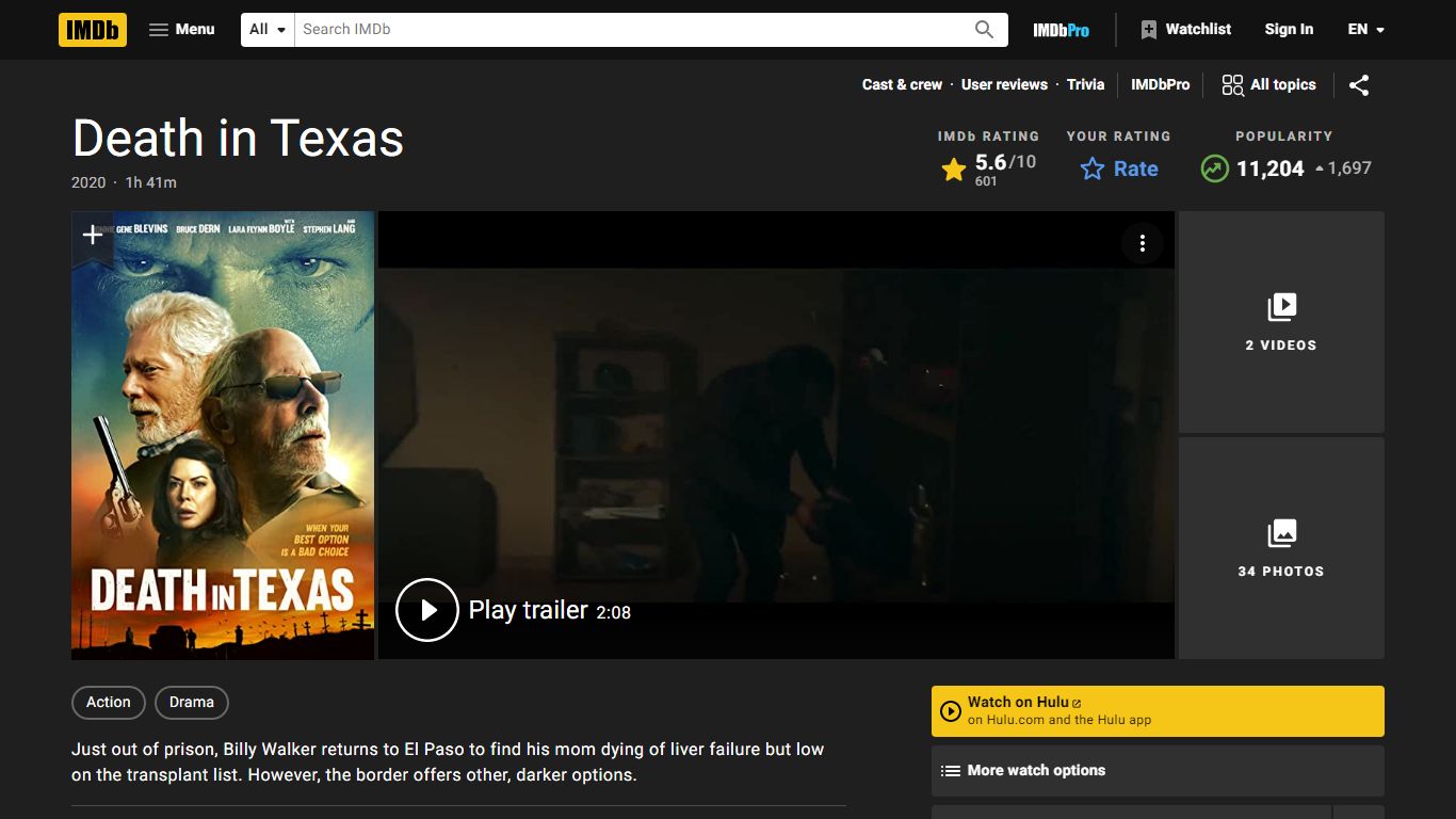 Death in Texas (2020) - IMDb